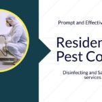 Pest Control Hobart | 0480 014 733 | Excel Pest Control