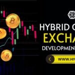 Hybrid Crypto Exchange Development