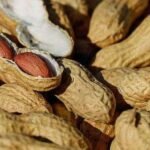 Peanuts Are Beneficial For Men in Treating Erectile Dysfunction by Increasing Stamina