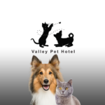 Veterinarian Bloomington CA