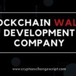 Blockchain Wallet Development Company – Coinjoker