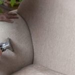 Book Professional Upholstery Cleaning Services Surges Bay