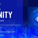 Build an NFT Gaming Platform like Axie Infinity with Advanced Axie Infinity Clone Script