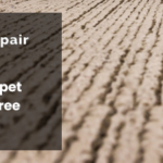 Hire Professional Services For Carpet Wrinkle Repair Adelaide