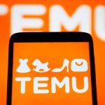 Temu's Global Expansion Shakes Up the Industry: How Can Logistics Companies Secure a Piece of the Pie?