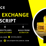 Fast-track Your Crypto Exchange Journey with the Binance Clone Script!