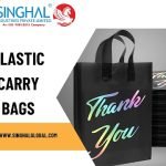 Plastic Carry Bags: Convenience or Conundrum?