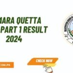 Hamara Quetta HSSC Part 1 Result 2024 Check Online