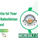 Hamara Quetta 11th Class 1st Year Result 2024 Balochistan Board