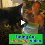 Watch Now Canton Ohio Lady Eating Cat Shocking Video Footage 2024 | Sociallygyan