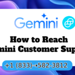 How to Reach Gemini Customer Support: Speak to a Representative