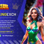 Maximize Your Winnings with Kingexch's Innovative Betting Features