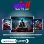 Experience the Thrill of Online Betting Exchange with Wic11