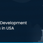 Top Salesforce 12 Development Companies in USA 2024